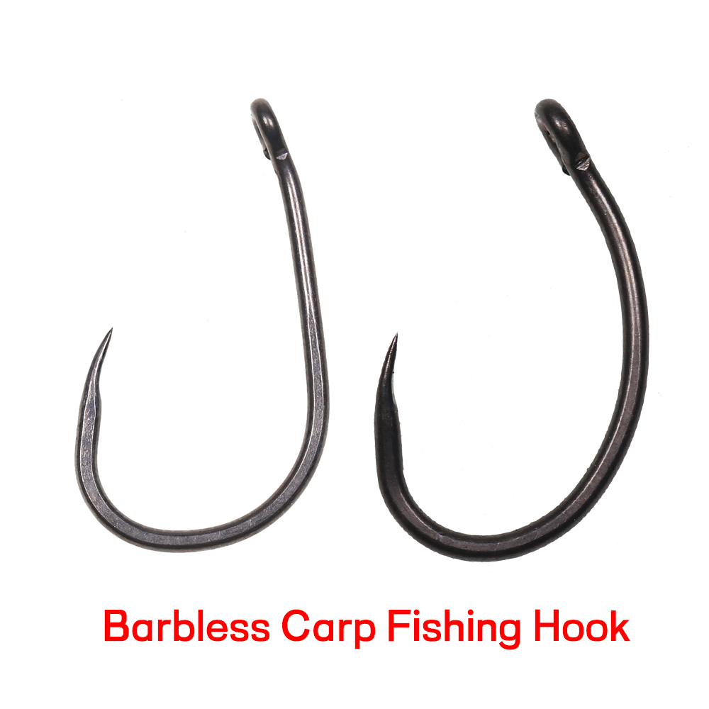 50 hameçons de pêche à la carp - Fishing Hook Assortment avis et prix